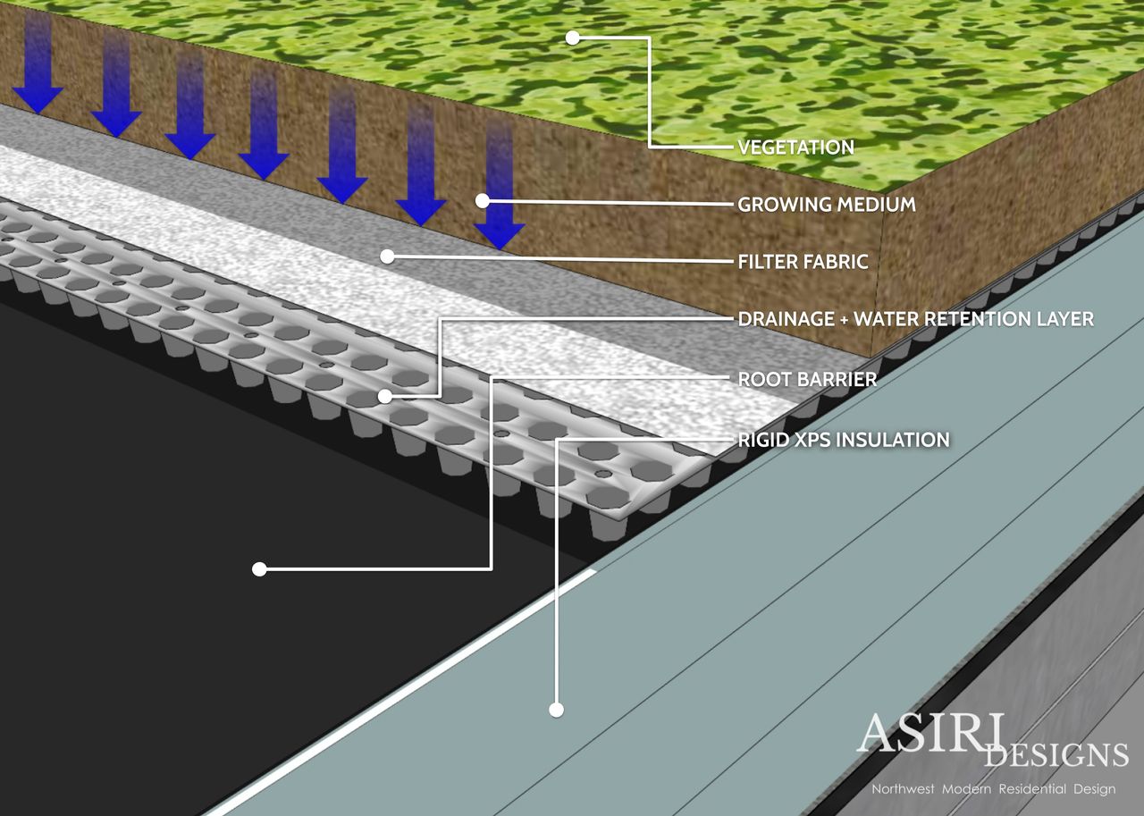 Layers of a Green Roof Assembly